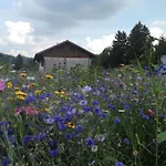 Kraeuterhof-ferienwohnung By Interhome *
